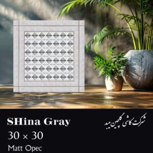کاشی کف سرویس بهداشتی 30 * 30 شینا طوسی