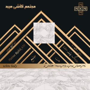 کاشی دستشویی و حمام و آشپزخانه  روبیک پتینه 450