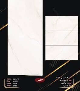 سرامیک خاک سفید 60*120دوریس ترانس